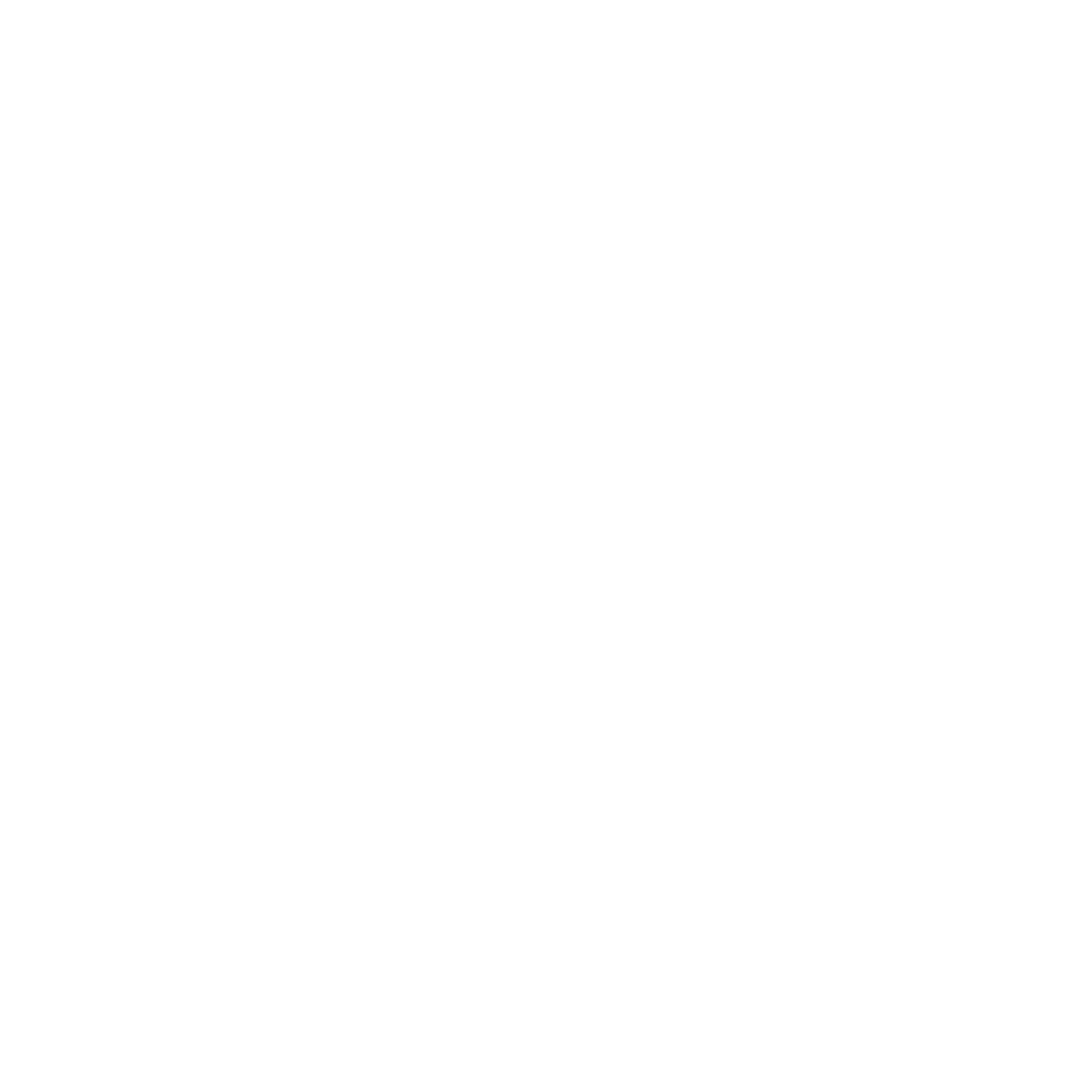 Salvini Logo